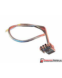 EF Lead & Plug for AEG motor (Minors)