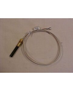 Thermopile 2 wire WR 900 long