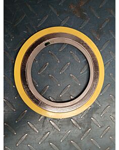 SSW Dn100 Pn16 gasket