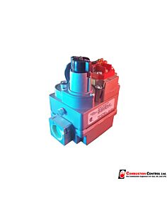 Comination NG valve millivolt