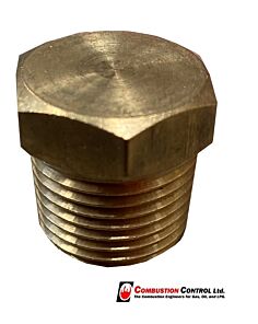 Brass Plug 1/2" BSPT