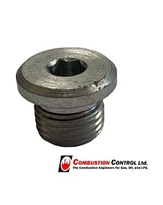 Brass Plug 1/4" BSPT