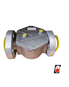 Gas Filter 1.25" Industrial