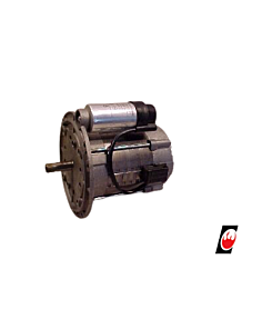 EF Motor 250w  AEG Minor 30, Major 25"