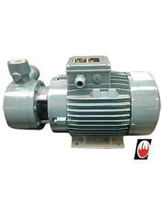 IVAR Pump Calpeda (TP 132 10 hp)