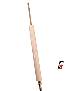 EF Ionisation Electrode D10 x 100